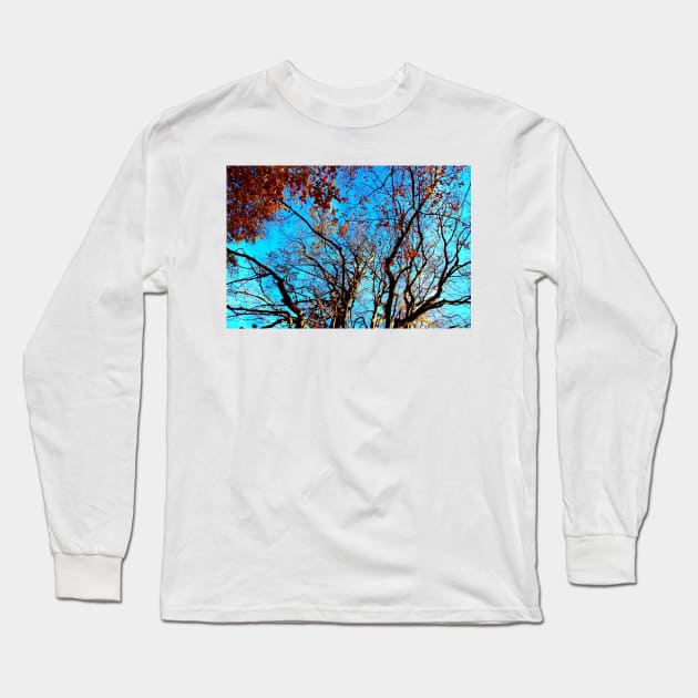 Long curved branches of beech trees with few red leaves Long Sleeve T-Shirt by KristinaDrozd